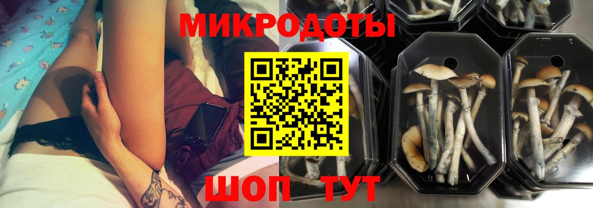 Псилоцибиновые грибы Cubensis Сорочинск
